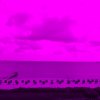 Föhr - Strand 1